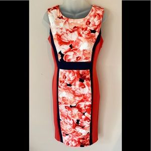 Rose Print with Navy Trim neoprene dress